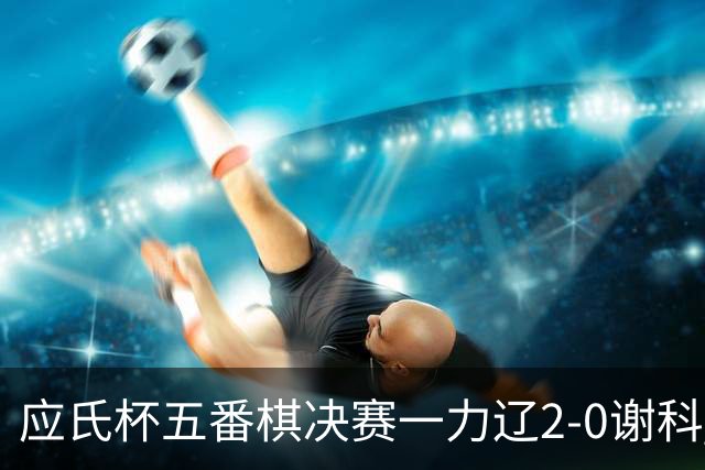 应氏杯五番棋决赛一力辽2-0谢科 率先拿到赛点